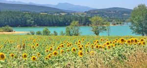 Read more about the article The Best Kept Secret in France!